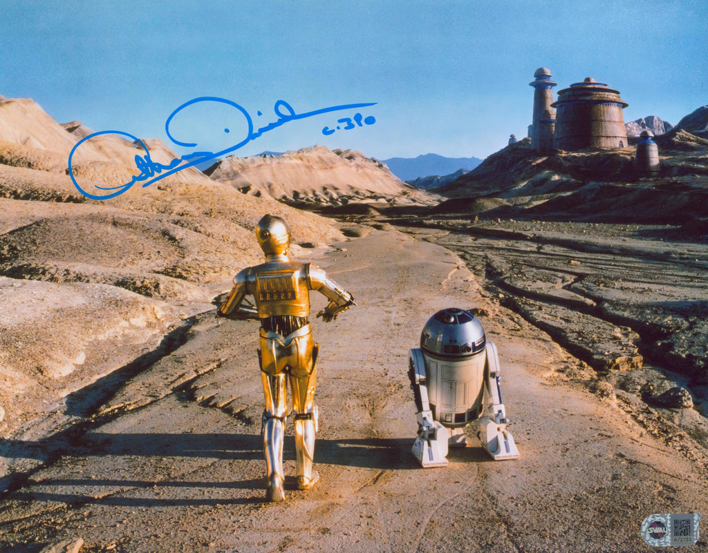 Anthony Daniels Signed 11x14 Photo - SWAU Authenticated